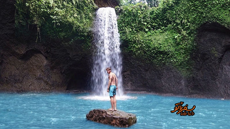 رخ عقاب در کنار آبشاری در بالی